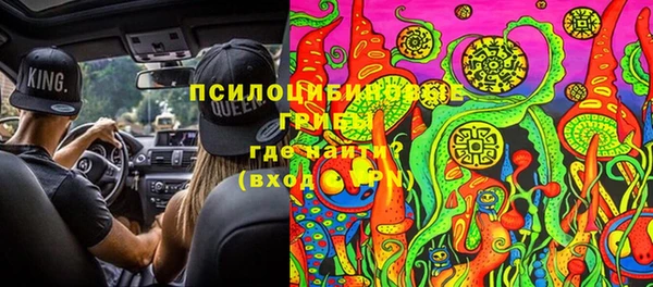ешки Лиски