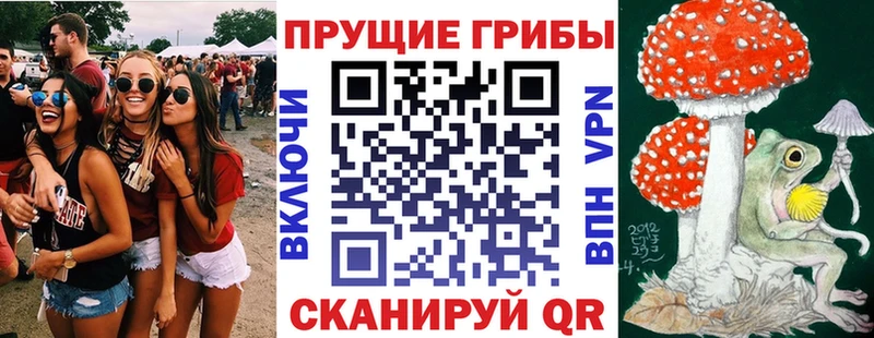Галлюциногенные грибы Magic Shrooms  Купить где  Североуральск 